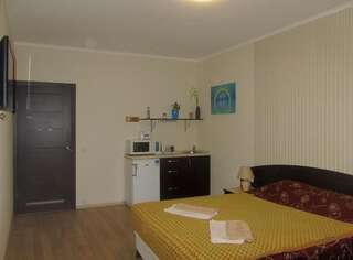 Апартаменты S&M Apartments Киев Апартаменты-студио-9